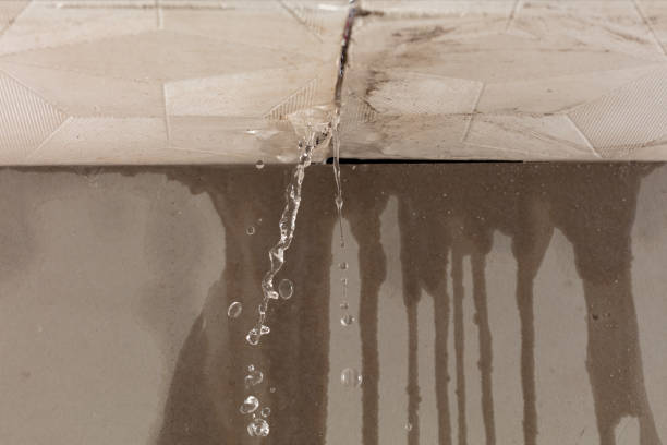 Professional Sewage Cleanup technician working in Brockton, MA